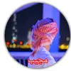 mujeeb16478