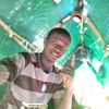 user7917111561449