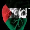 mmll_____a99