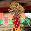 raissa_syhairra_almahira