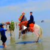 iraq_ala_3