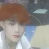 phien.ho8