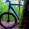 anton_mtbb