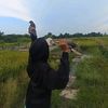 albredd1