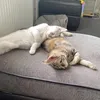 mable._.and._.luna