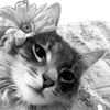 sweetiepiekeey