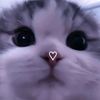 user88451675801426
