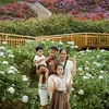 family.farm.resta
