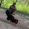 quang.ti95