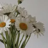 hdkdh6392