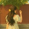 unknown22536373
