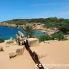 costa.moha