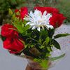 miss.maisa95