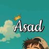 raja735asad