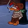 raposa_do_tempo