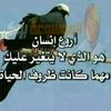 user88387952108316