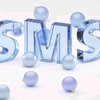 s___m___s___1