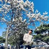 jini.kim47