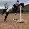 lissie_showjumping