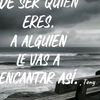 kris.albo