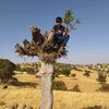 serhat.47210