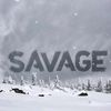 northfacesavage