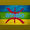 amalo250