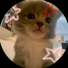 vdmpmdlk