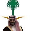 511alwaleed