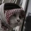 hafiymuaz0