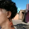 _cardosw_