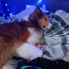 bottleofwhiskey0