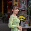 dandan.vn8