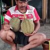 sapari.pari2