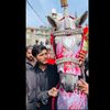 syeda.fatima303