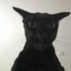 sam423602