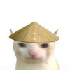 papigod113
