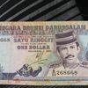 brunei_trusted_collector