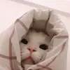 lusirahmawti