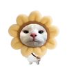 queencimaaaa