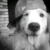 kino_di3