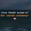 allohkurguvchi_0723