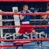 zvrki🥊🔥