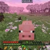 leeduyyy12