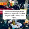 userr050930