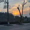 luuhaiyen13042014