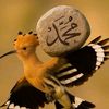 nassiru.na.manzon.allah
