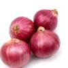 onion1merchant249