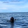 eva.atiqa
