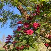 maria.account111